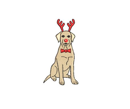 Reindeer Lab